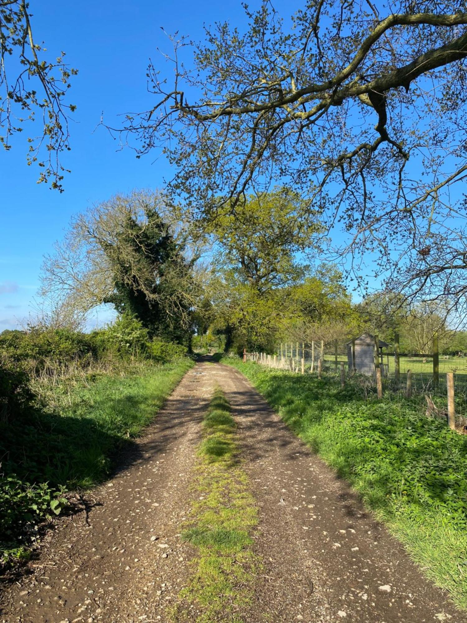 Blossom Lodge - Detached Bungalow Near Kings Lynn Narborough  外观 照片